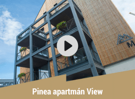 Pinea apartmán View
