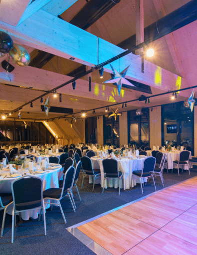 Cena VIP vstupenky