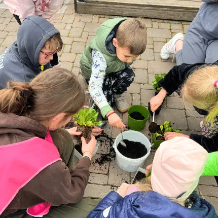 Kvetinová záhradka: sadíme jarné kvietky