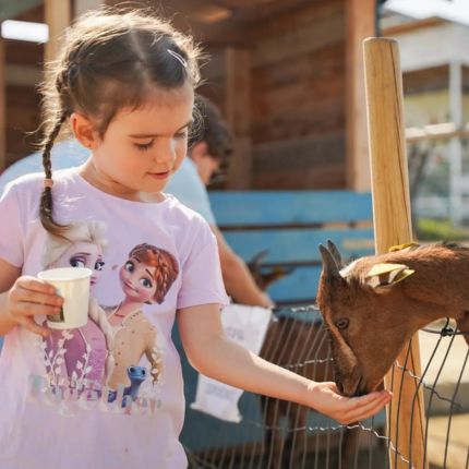 Kontaktná MiniZOO