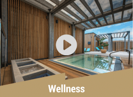 Wellness