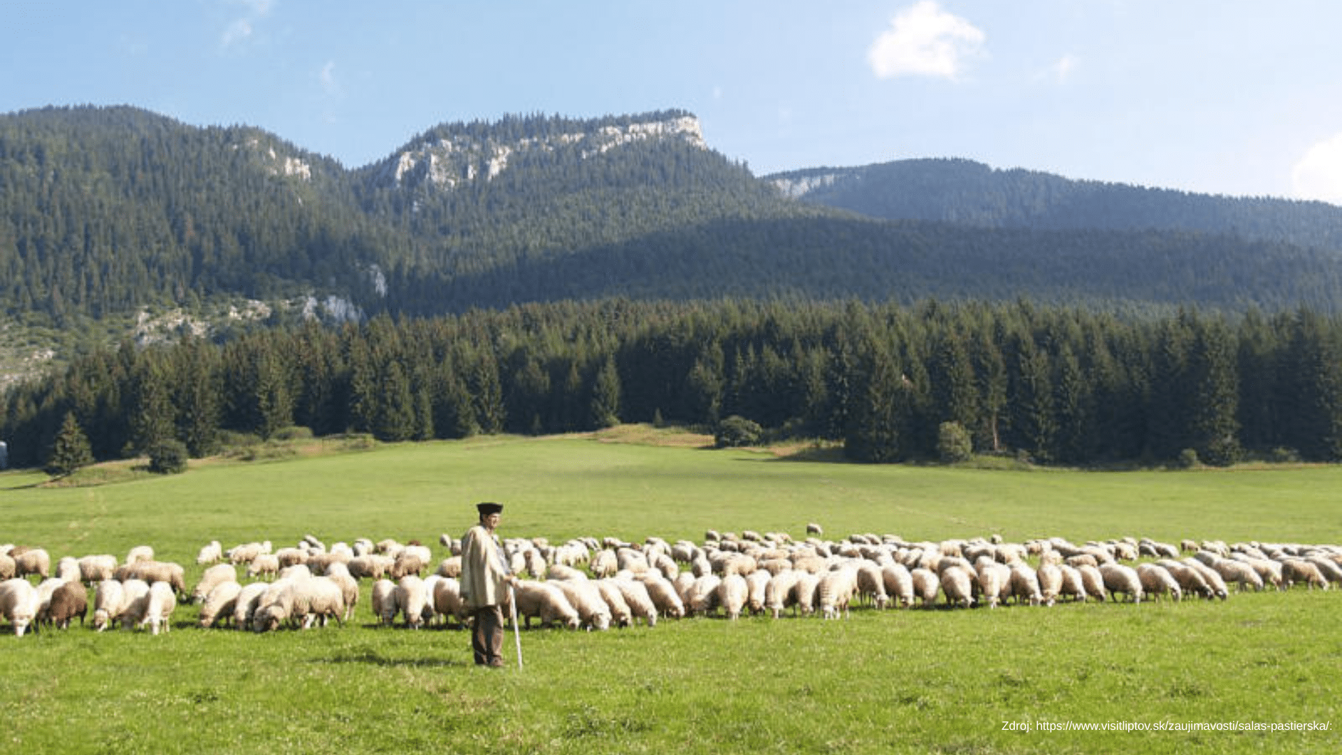 Objavte salaše na Liptove: Čerstvý syr, príbehy Slovenska