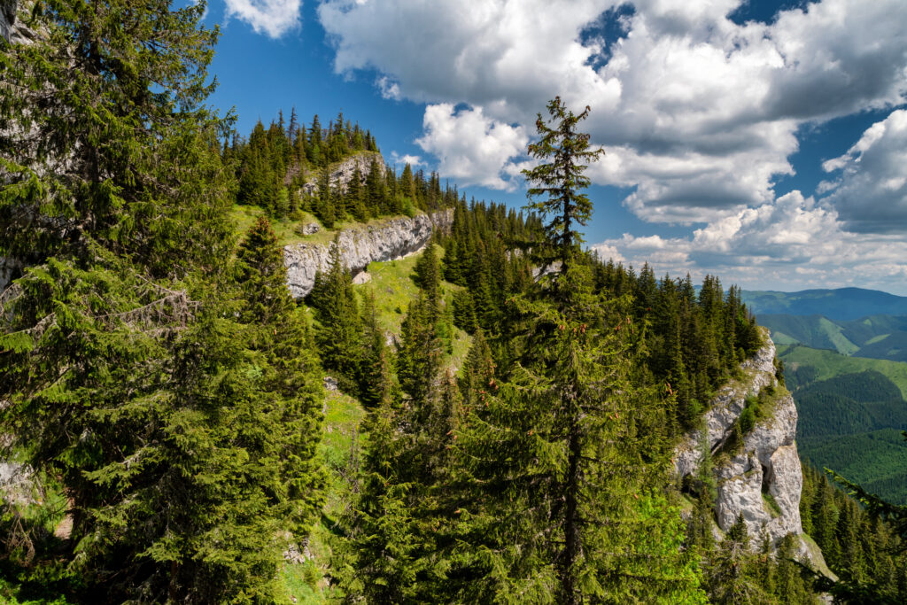 Krasová plošina Ohnišťa s vápencovými bralami a výhľadom na Nízke Tatry