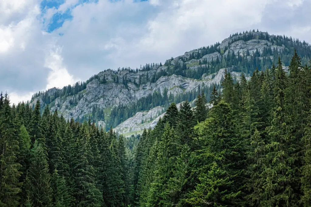 Masivul Ohniště cu stânci calcaroase și pădure în Tatra Joasă