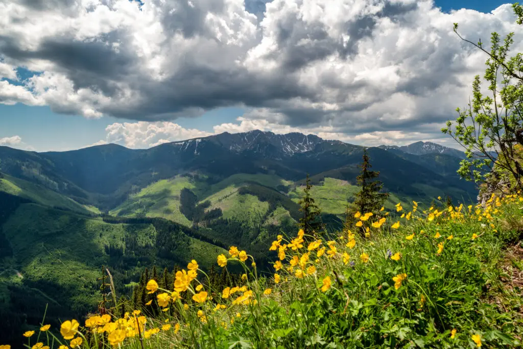 Vedere de la dealul Ohnište la Tatra de Jos, Ďumbier, Chopok